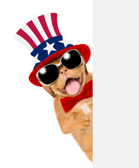 Fototapeta na wymiar Happy Mastiff puppy wearing like Uncle Sam looks from behinde empty white banner. isolated on white background