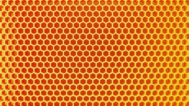 Yellow honeycomb dolly zoom in background. Abstract and backdrop wallpaper concept.