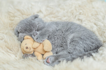 Sleepy tiny kitten hugs favorite toy bear on a bed at home