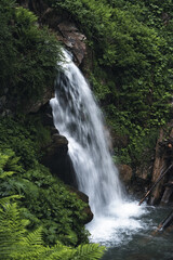 waterfall in the forest, vertical image
