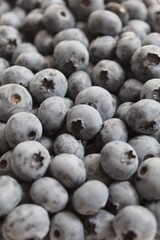 blueberries close up