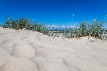 Fototapeta na wymiar Baltic sea landscape with sandy beach and dunes with grass