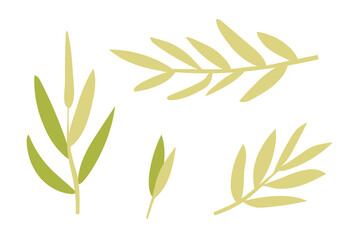 Fototapeta na wymiar Simple branches with leaves. Vector illustration isolated on a white