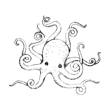 Octopus Design Very Cool