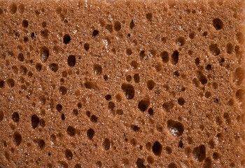 The texture of the brown sponge is detailed macro