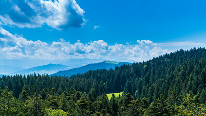 Germany, Panorama view above tree tops, forest and pastures on top of a mountain peak with clouds and sun in allgaeu nature landscape in summer