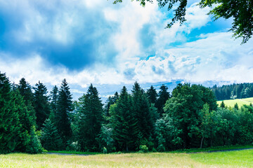 Germany, Panorama view above trees, forest and pastures on top of pfaender mountain peak with...