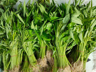 Fresh green kangkong or kangkung