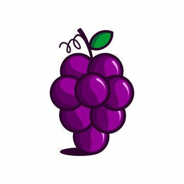 vector illustration of purple grapes, cute fruit