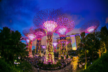 The light at night Courtesy of Gardens by the Bay, Singapore. - obrazy, fototapety, plakaty