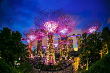 Foto op Canvas The light at night Courtesy of Gardens by the Bay, Singapore. © sippakorn