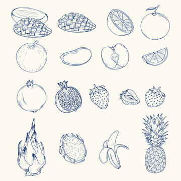fresh fruit design hand drawn sketch set