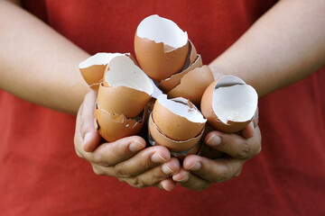 Many egg shells are in the girl's hand. Eggshells left over from cooking in the kitchen to be processed into useful things.