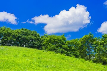Fototapeta na wymiar 【自然】青空に雲が浮かぶ草原の丘の風景　夏 