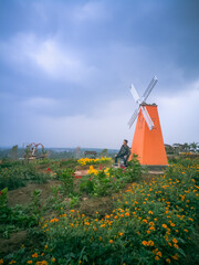 windmill