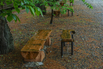 wooden bench on a rainy day