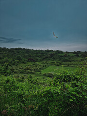 flying above landscape
