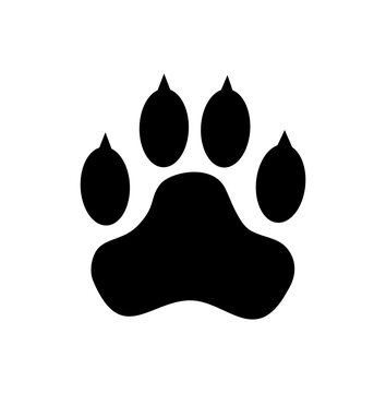 Paw print trail on white background. Dog paw. Vector graphics