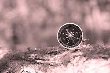 round compass on natural background