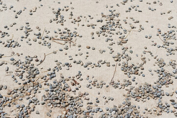 pebbles on concrete in the sun