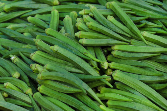 Fresh Okra (Lady Finger) in Indian Local Market, Okra at Farmers Market, selective focus.