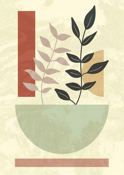 Plant in a pot