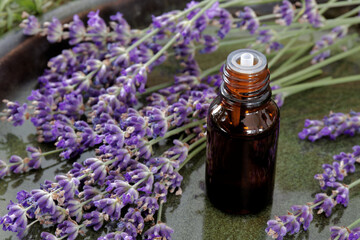 Obraz na płótnie Canvas Lavender Essential oil plant essence in bottle. Herbalism and aromatherapy concept.
