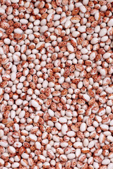 Red and white beans texture for background. Organic natural kidney bean background with copy space for text, top view. Close up haricot grains flat lay. Healthy food macro concept.