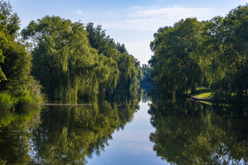 Quiet full-flowing picturesque canal with trees overgrown banks