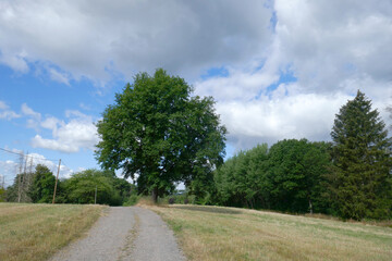 Feldweg im Bergischen Land