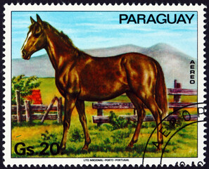 Postage stamp Paraguay 1976 horse, farm animal