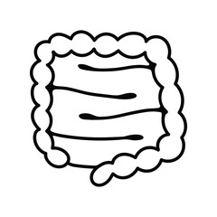 Intestine. The doodle of the internal organ. Black contour drawing, linear icon of the human digestive system