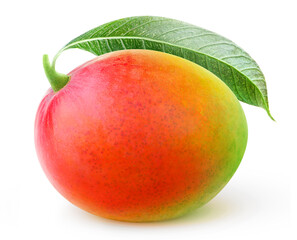 One red green mango with leaf isolated of white background