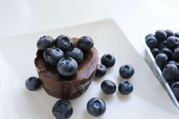 summer desserts. chocolate dessert with blueberries on a white plate