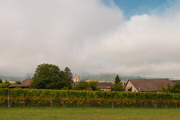 Vineyards and agricultural fields in Alsace, France. 