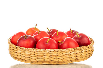 Several ripe juicy cherry plums on a straw plate, close-up, isolated on a white background.