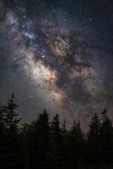 Fototapeta na wymiar Spruce trees silhouetted against the dark night sky of Spruce Knob in West Virginia with the galactic core of our Milky Way galaxy glowing up above.