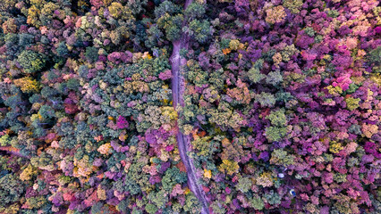 aerial view autumn landscape