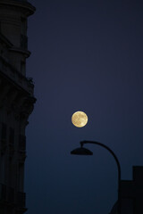 Fototapeta na wymiar moon over the city