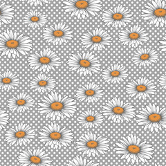 Chamomile. Seamless background for fabrics, textiles, packaging and wallpaper. Vector illustration