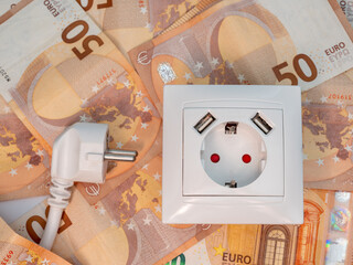 An electrical socket with a connected plug and euro banknotes around it.