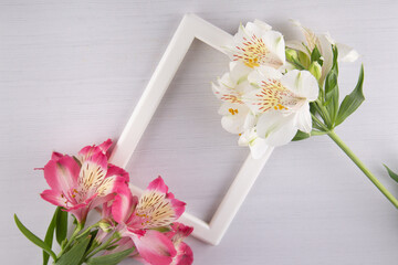 Beautiful flower border for photoframe on white background. Bright lilly alstroemeria. Greeting card concept. Top view, flat lay, copy space for text