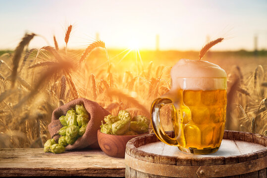 Beer Brewing Ingredients Hop In Bag And Wheat Ears On Wooden Cracked Old Table. Beer Brewery Concept. Hop Cones And Wheat Closeup. Sack Of Hops And Sheaf Of Wheat On Vintage Background.