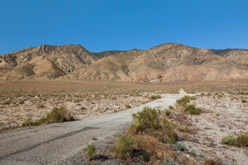 Nevada desert in summer season