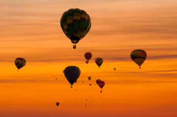 Balloons Fill the Sky
