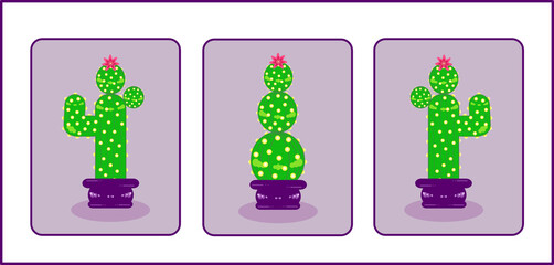 Set of three Cactus. Collection of 3 house plants. Isolated Cacti. Vector images. Trendy illustration.