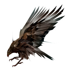 painted bird flying hawk isolated on white background