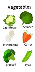 Vegetable illustration for kids education 1