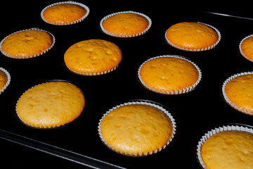 Twelve baked cupcakes, muffins in muffin tin in electric oven - close up. Homemade bakery, food, cooking and pastry concept