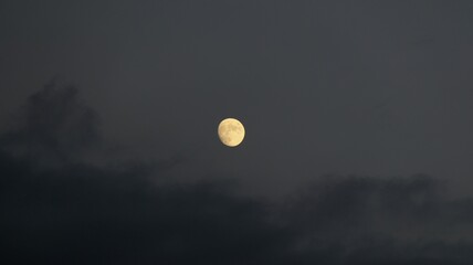 Moon in the night sky 夜空の月